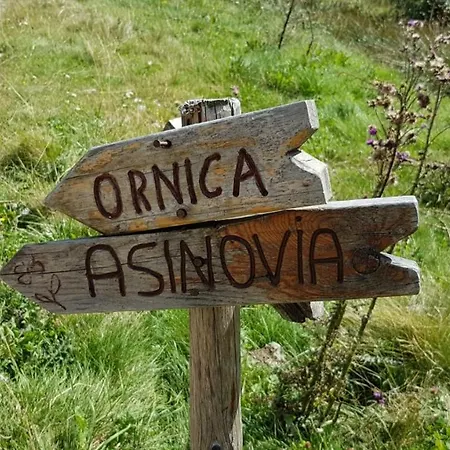 Casa Del Cirillo * Ornica